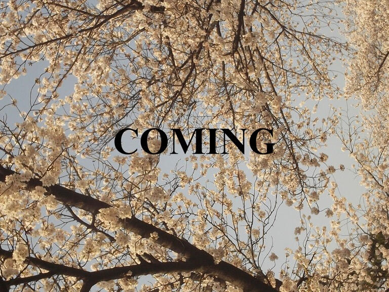 Talent: Ninajirachi and Daine Stylist: Katherine Rose