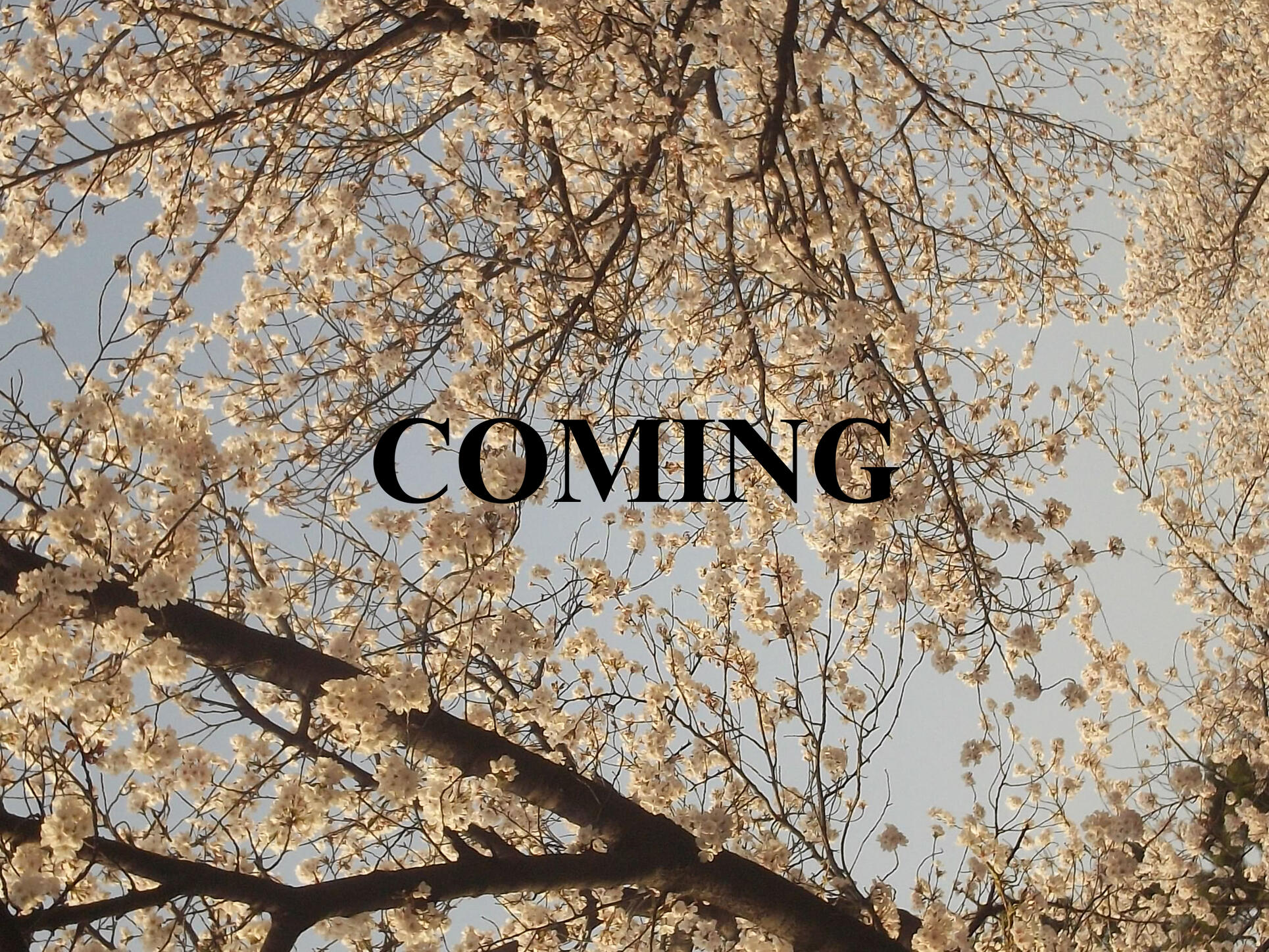 Costume Designer: Damir Peranovic